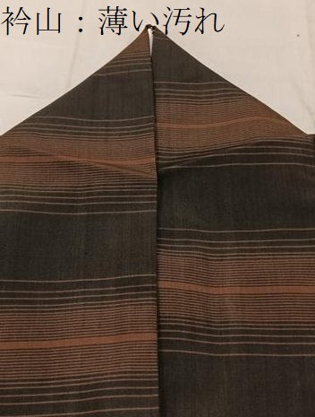 平和屋着物■本場縞大島紬 横段文 正絹 逸品 BAAW5726hj