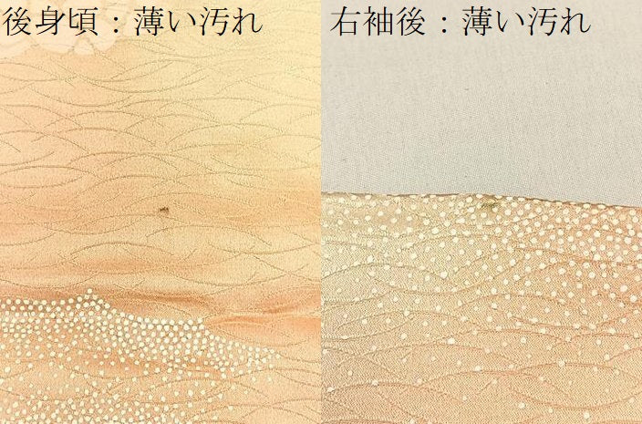 平和屋着物■上質な小紋 花蝶文 暈し染め 金彩 正絹 逸品 BAAW5942hj