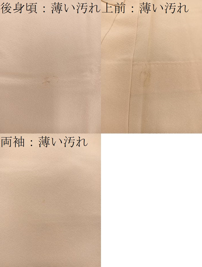 平和屋着物■訪問着 友禅 枝花文 正絹 逸品 BAAW6165mz