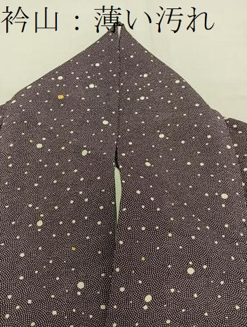 平和屋着物■訪問着 大小あられ 正絹 逸品 BAAW6230mz