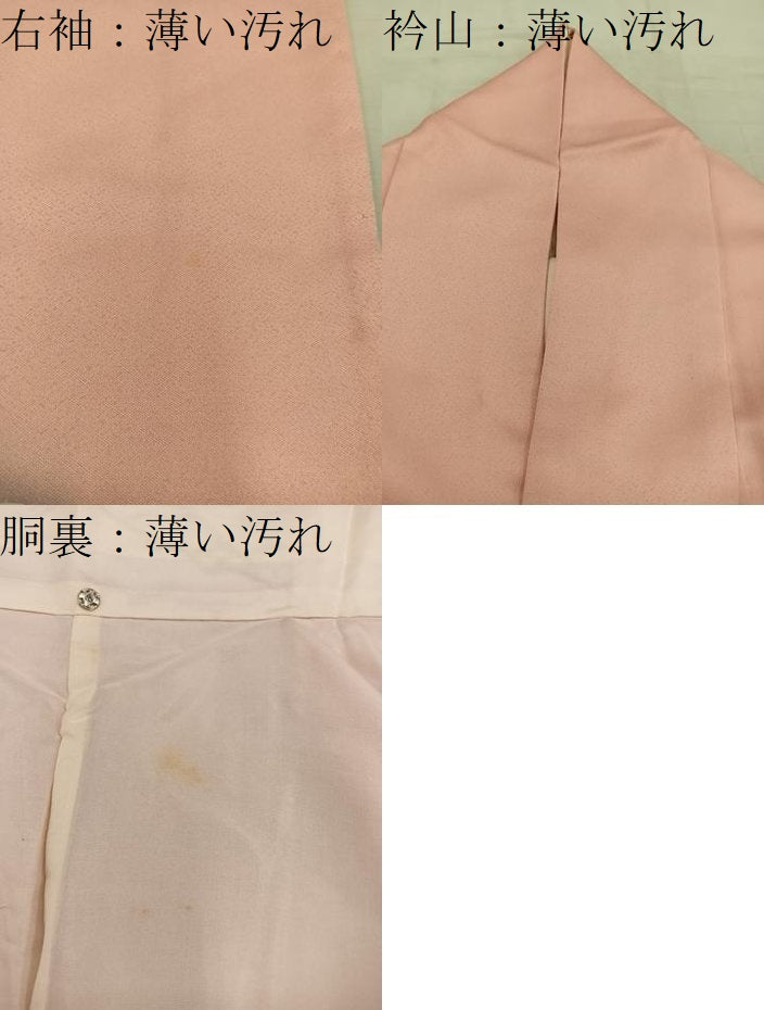 平和屋着物■訪問着 刺繍 牡丹花文 暈し染め 正絹 逸品 BAAW6298mz