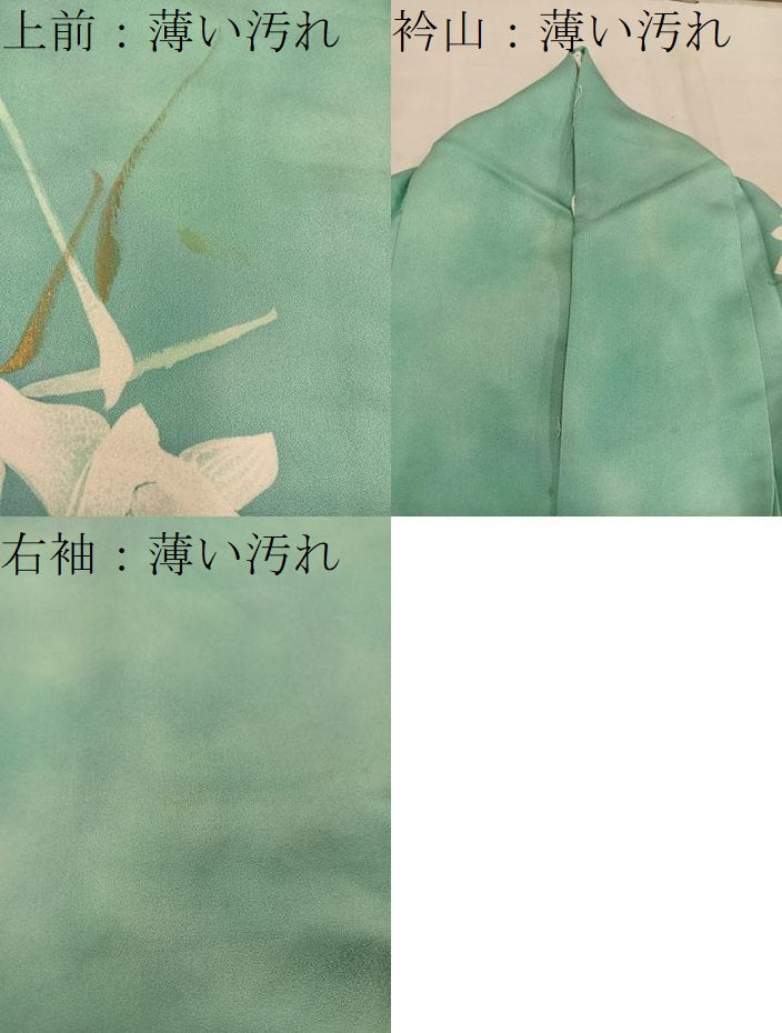 平和屋着物■訪問着 草花文 正絹 逸品 BAAW6439mz