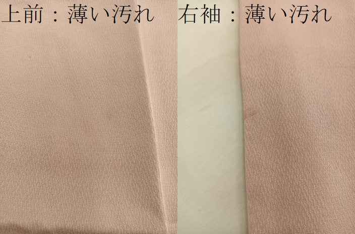 平和屋着物■訪問着 手描き 枝椿 正絹 逸品 BAAW6446mz
