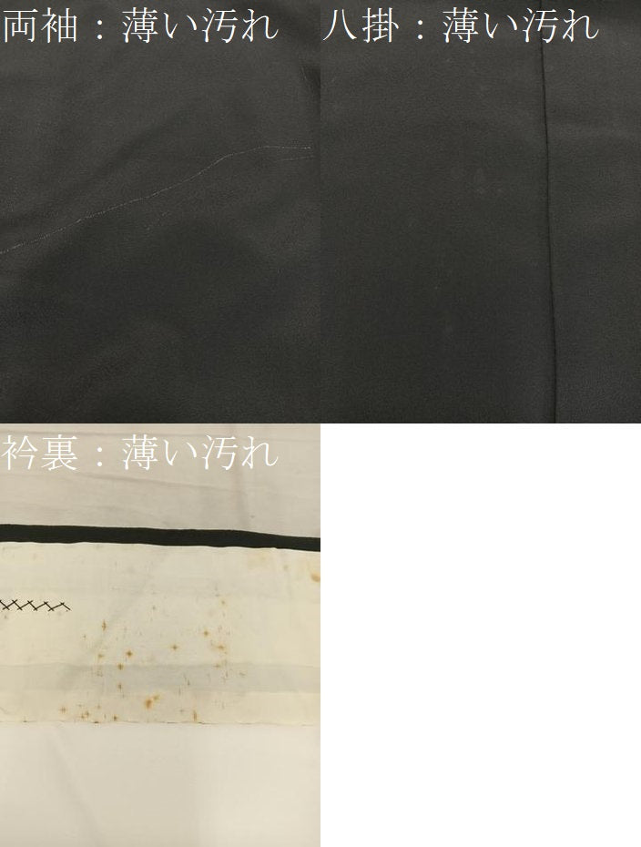 平和屋着物■豪華黒留袖 友禅 風景花文 正絹 逸品 BAAW6560mz