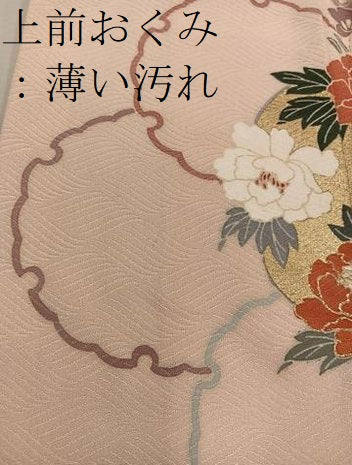平和屋着物■訪問着 刺繍 雪輪牡丹花文 金彩 正絹 逸品 BAAW6572mz
