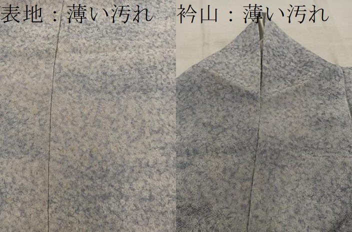平和屋着物■上質な小紋 霞文 正絹 逸品 BAAW6616mz