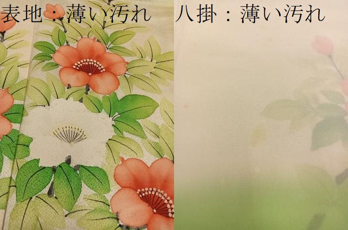 平和屋着物■訪問着 手描き 枝花文 正絹 逸品 BAAW6869mz