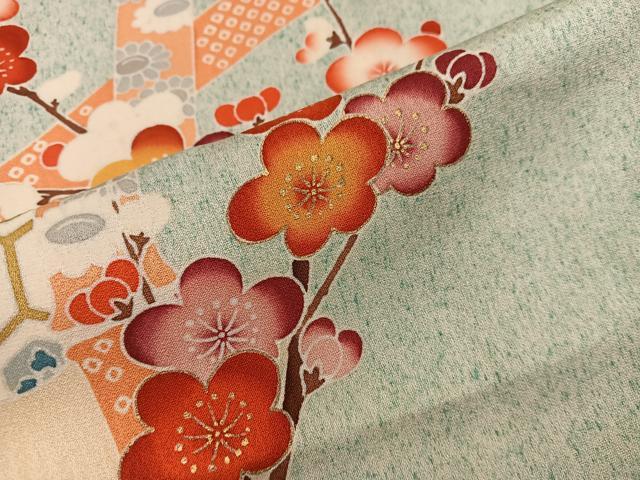 平和屋着物■訪問着 枝梅亀甲文 金彩 正絹 逸品 BAAW6935mz