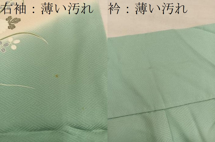 平和屋着物■訪問着 貝桶花文 暈し染め 正絹 逸品 BAAW7000mz