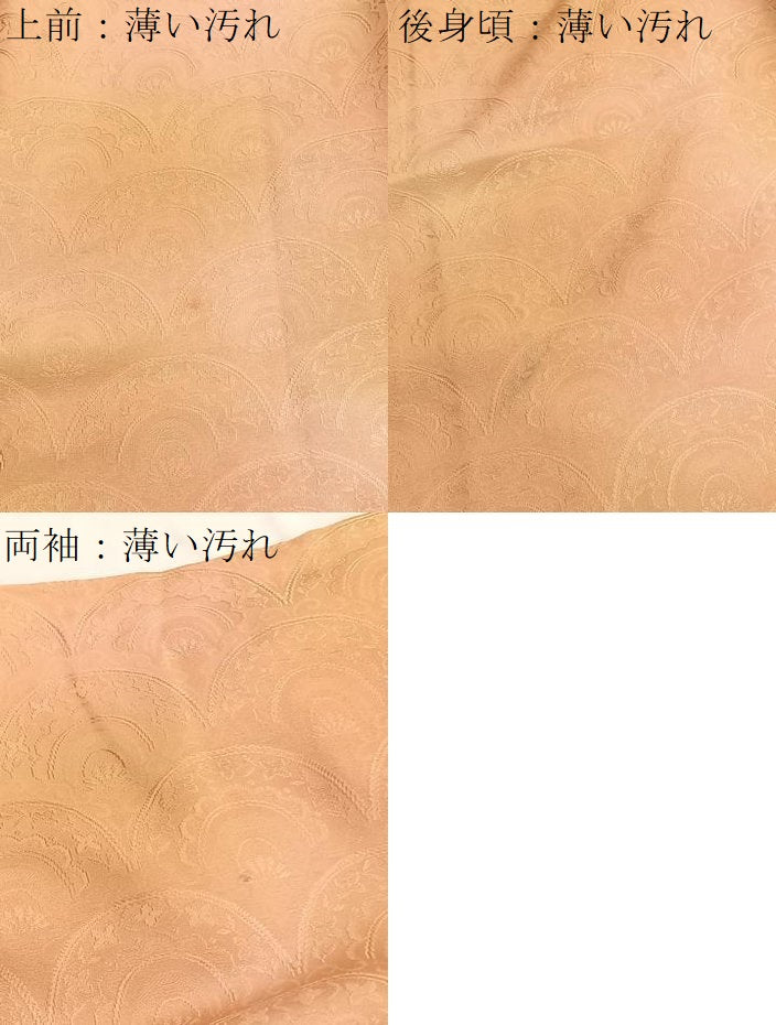 平和屋着物■上質な小紋 青海波 暈し染め 正絹 逸品 BAAW7648hv