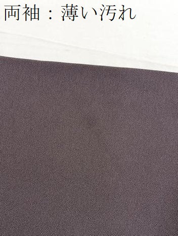平和屋着物■江戸小紋 作家物 鮫小紋柄 草木染 正絹 逸品 BAAW7698hv