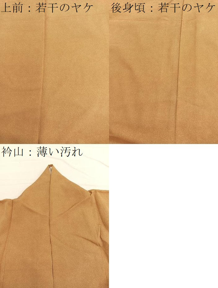 平和屋着物■江戸小紋 作家物 鮫小紋柄 そごう扱い 正絹 逸品 BAAW7818hv
