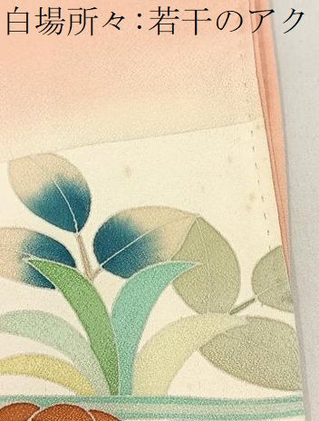 平和屋着物■訪問着 友禅 花鳥文 暈し染め 正絹 逸品 BAAW9161hj
