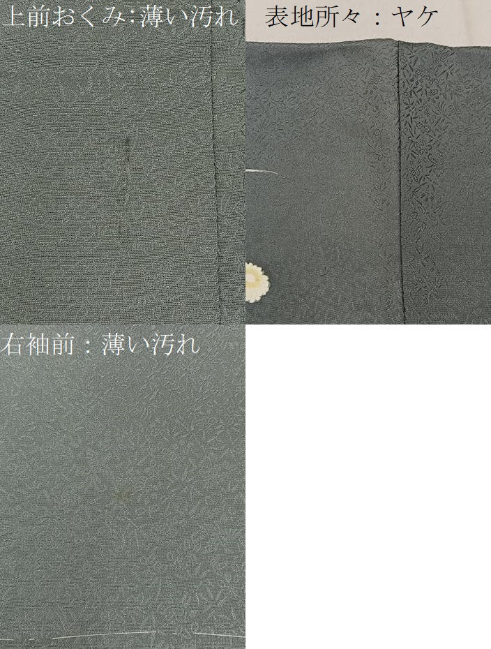 平和屋着物■訪問着 飾花文 暈し染め 正絹 逸品 BAAW9164hj
