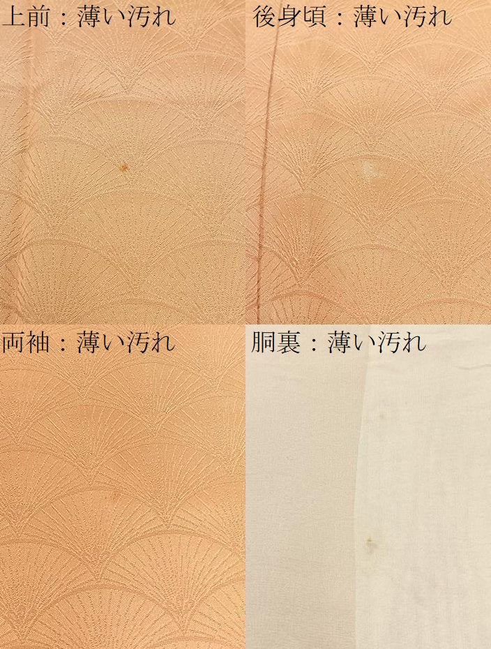 平和屋着物■上質な小紋 青海波地紋 暈し染め 正絹 逸品 BAAW9226hj