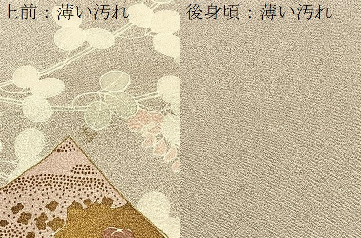 平和屋着物■豪華色留袖 色紙重ね光琳水花文 金彩 正絹 逸品 BAAW9259hj