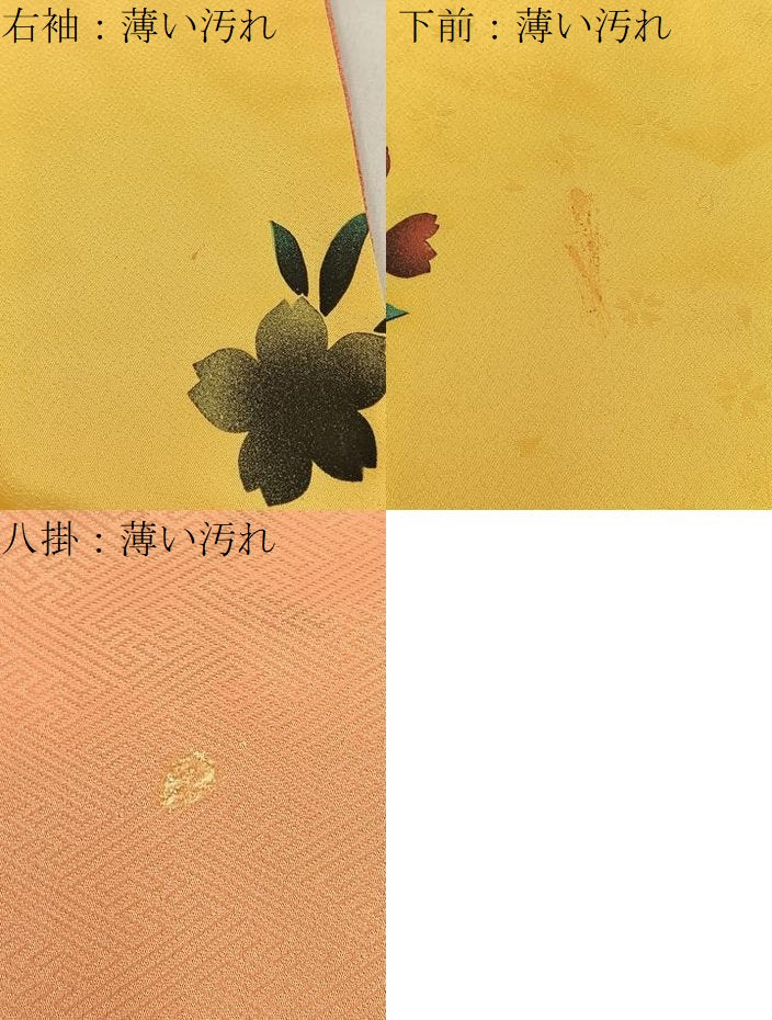 平和屋着物■豪華振袖 束ね熨斗花蝶文 暈し染め 金銀彩 正絹 逸品 BAAW9536hj