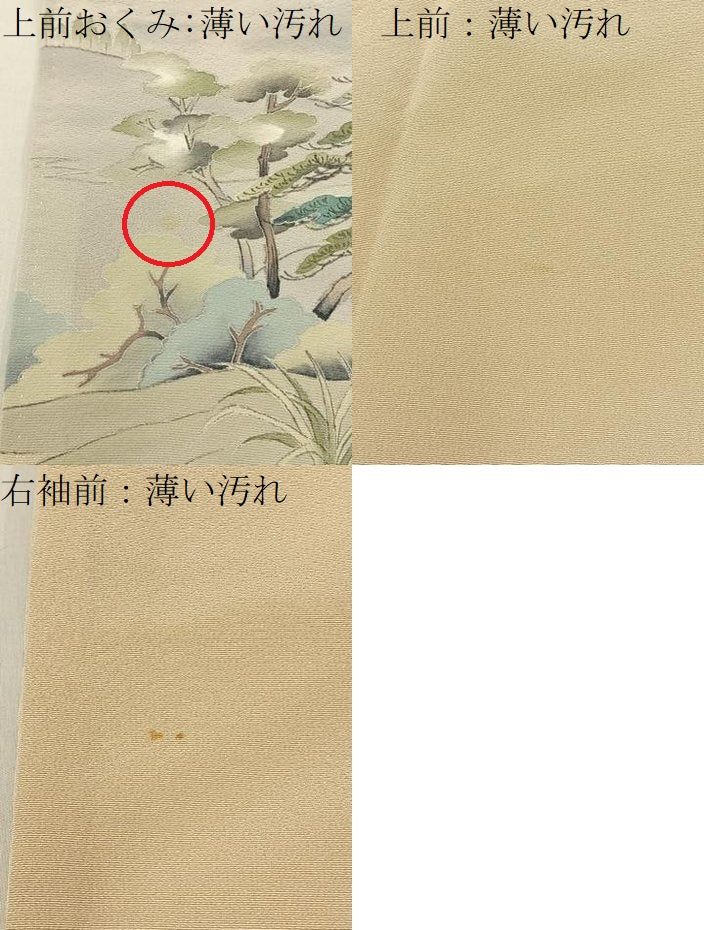 平和屋着物■訪問着 金閣寺 暈し染め 正絹 逸品 BAAW9551hj