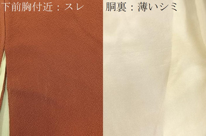 平和屋着物■訪問着 草花文 金彩 鬼しぼ縮緬 正絹 逸品 BAAW9652hj