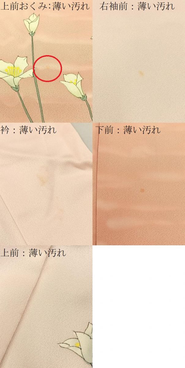 平和屋着物■訪問着 手描き 草花文 暈し染め 正絹 逸品 BAAW9685hj