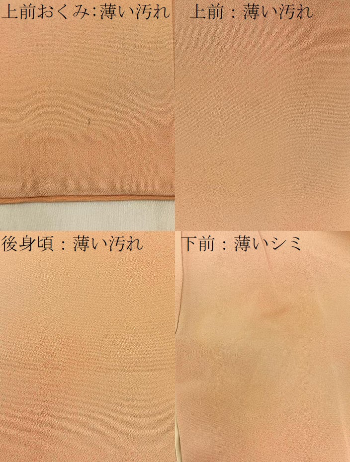 平和屋着物■上質な小紋 霞文 暈し染め 正絹 逸品 BAAW9805hj
