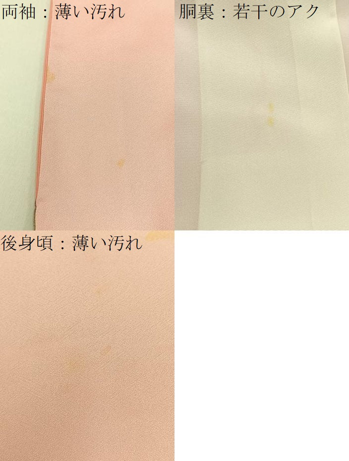 平和屋着物■訪問着 飛鶴地紙花文 暈し染め 金銀彩 正絹 逸品 BAAW9810hj