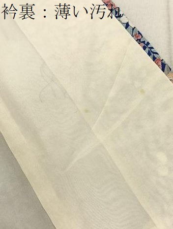 平和屋着物■訪問着 草花尽くし 暈し染め 正絹 逸品 BAAW9912hj