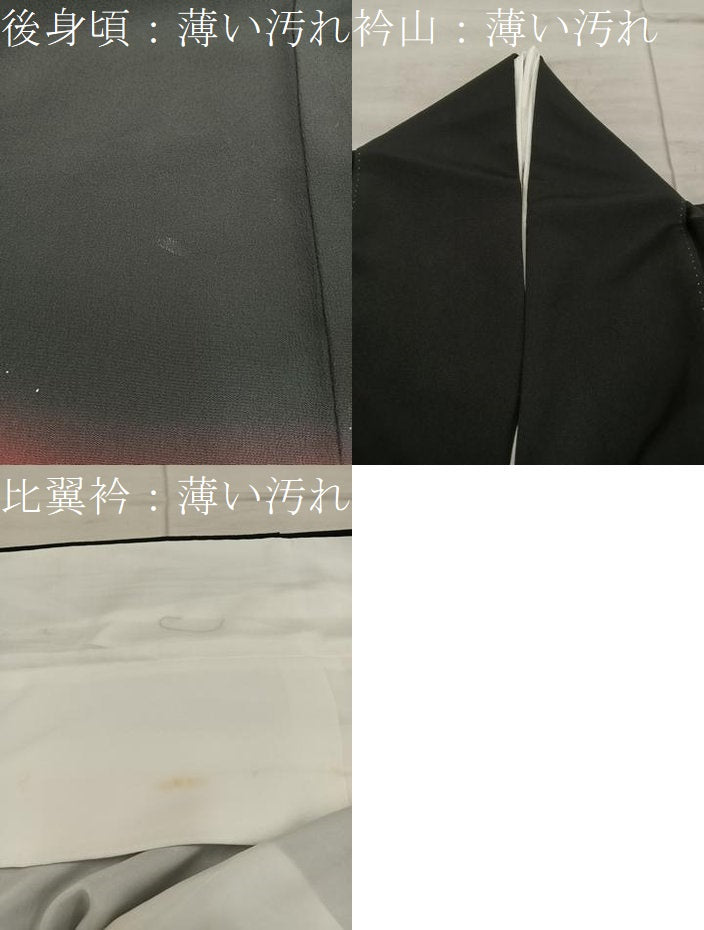 平和屋着物■豪華黒留袖 作家物 嵐山 暈し染め 金彩 正絹 逸品 BAAX1478mz