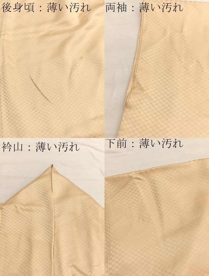 平和屋着物■訪問着 駒刺繍 流水花文 暈し染め 金彩 正絹 逸品 BAAX2165hv
