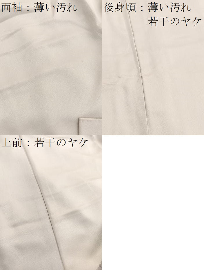 平和屋着物■訪問着 鴛鴦浜松文 暈し染め 正絹 逸品 BAAX2341hv