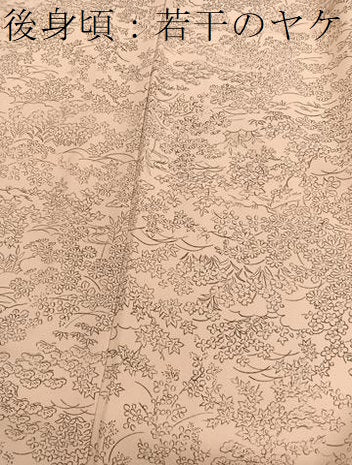 平和屋着物■上質な小紋 手描き 松竹梅花文 正絹 逸品 BAAX2377hv