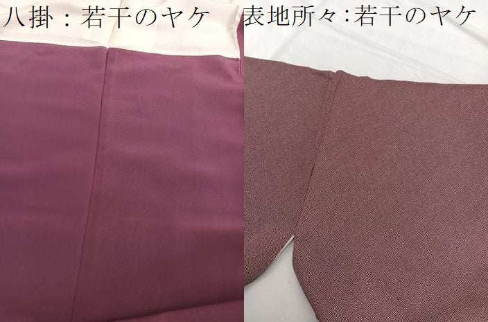 平和屋着物■江戸小紋 立涌文様 正絹 逸品 BAAX2467hv