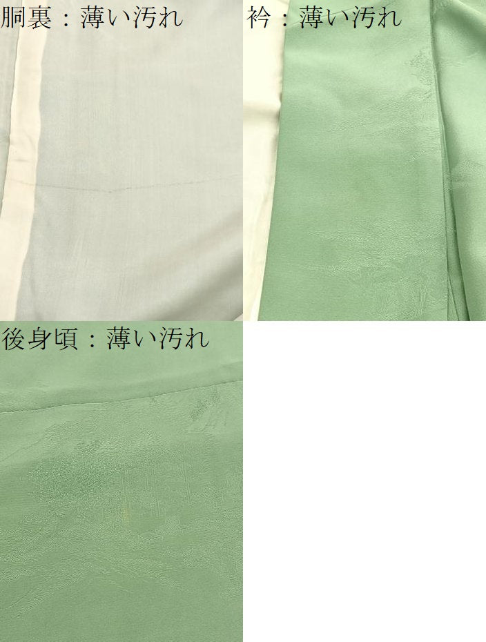 平和屋着物■上質な色無地 風景地紋 柳染色 正絹 逸品 BAAX2709hv