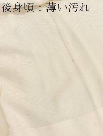 平和屋着物■長襦袢 袷 紗綾形地紋正絹 逸品 BAAX2730hv