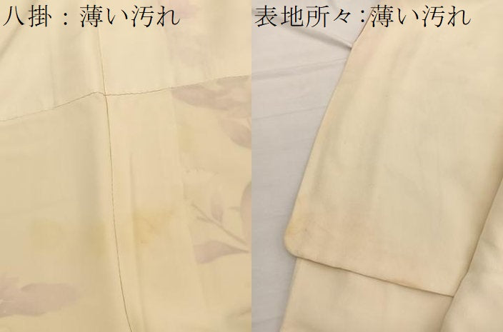 平和屋着物■訪問着 枝花文 金彩 正絹 逸品 BAAX2769hv