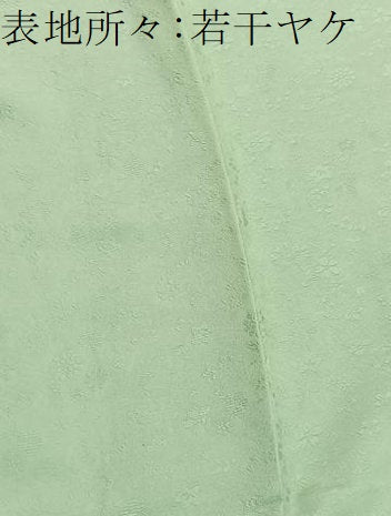 平和屋着物■上質な色無地 草花地紋 夏虫色 さが美扱い 正絹 逸品 BAAX2816hv