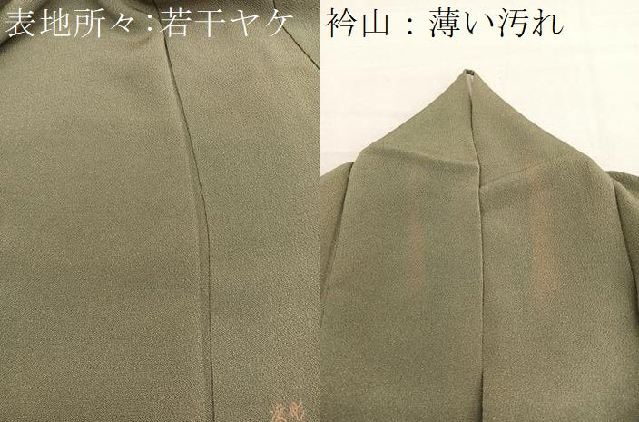 平和屋着物■江戸小紋 彫士:住田双光・染士:服部光擴 草木染 極鮫小紋 反端付き 正絹 逸品 BAAX2941hv