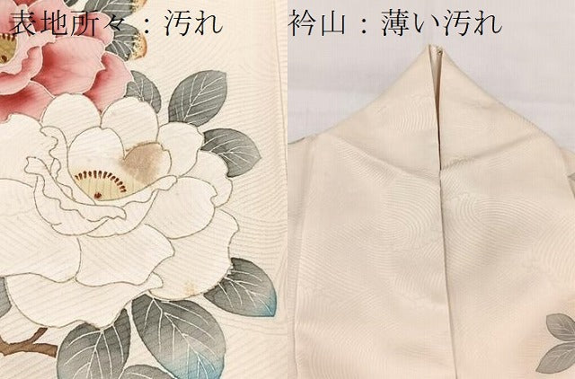 平和屋着物■訪問着 手描き 枝花文 金彩 ロング丈 正絹 逸品 BAAX3204yc
