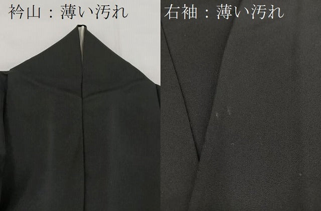 平和屋着物■訪問着 刺繍 風景文 黒地 金彩 正絹 逸品 BAAX3255yc