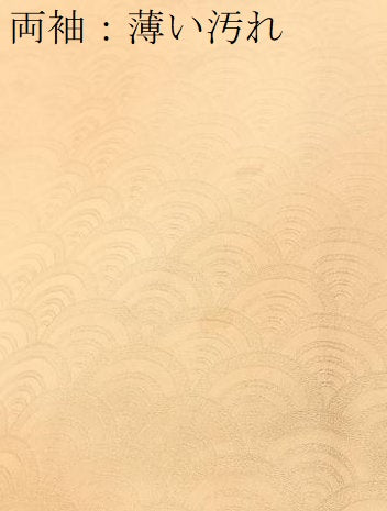 平和屋着物■上質な小紋 青海波地紋 暈し染め 正絹 逸品 BAAX3316yc
