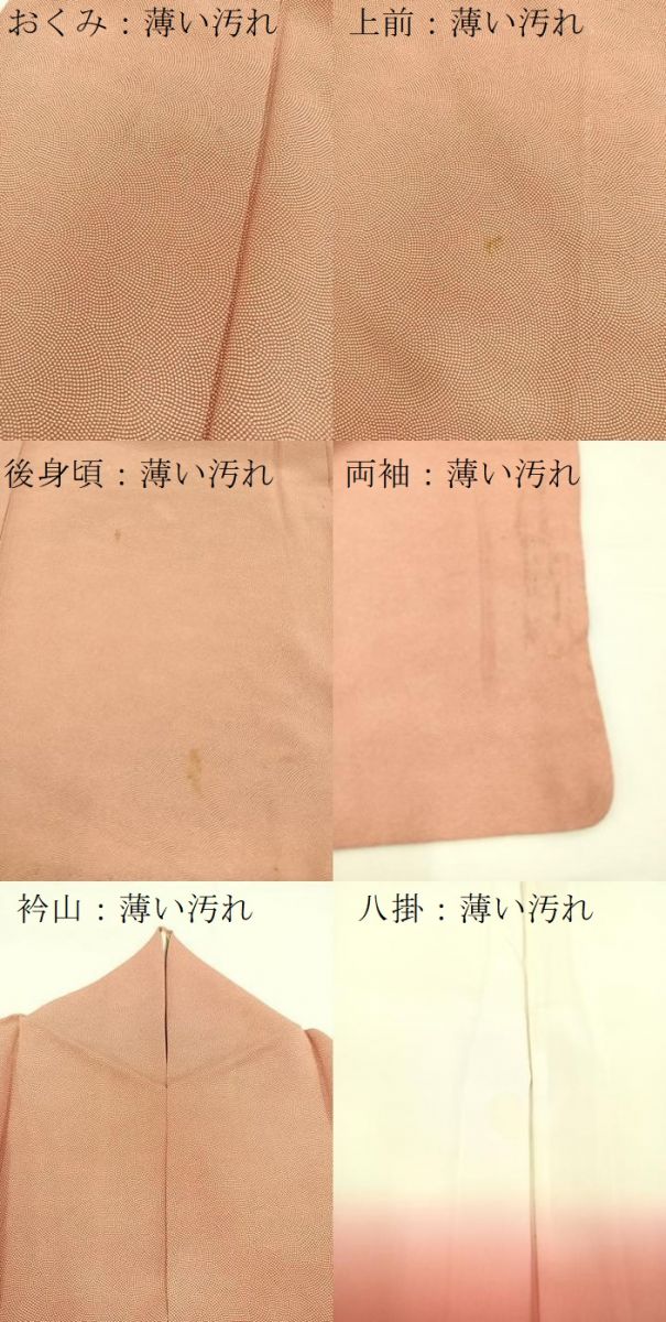平和屋着物■江戸小紋 鮫小紋柄 正絹 逸品 BAAX3481yc