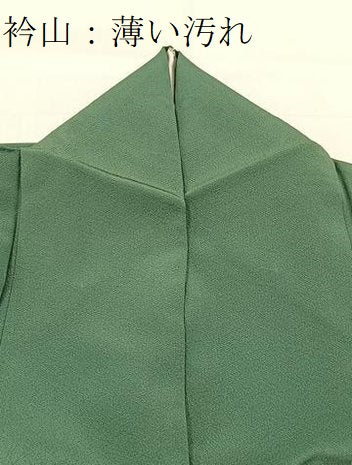 平和屋着物■上質な色無地 虫襖色 正絹 逸品 BAAX3511yc