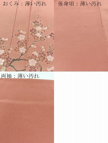 平和屋着物■訪問着 鴛鴦花文 暈し染め 金銀彩 正絹 逸品 BAAX3574yc
