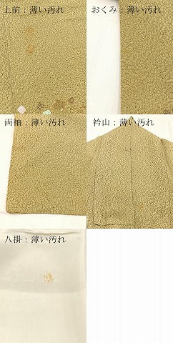 平和屋着物■訪問着 螺鈿 草花文 金彩 正絹 逸品 BAAX3610yc
