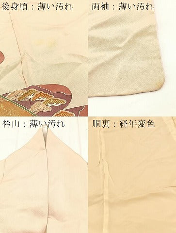 平和屋着物■豪華色留袖 駒刺繍 飛鶴地紙松文 金彩 正絹 逸品 BAAX3615yc