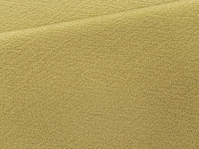 平和屋着物●上質な色無地 根岸色 ロング丈 正絹 逸品 BAAX3649yc