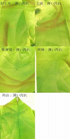 平和屋着物■訪問着 カトレア 暈し染め 金彩 正絹 逸品 BAAX3798yc