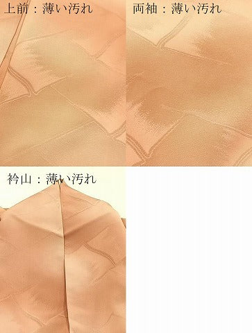 平和屋着物■上質な小紋 竹垣地紋 暈し染め 正絹 逸品 BAAX3802yc