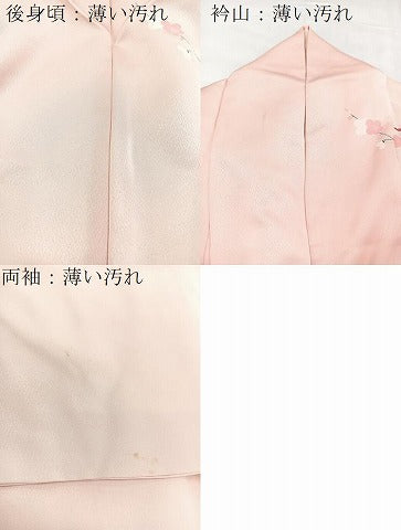 平和屋着物■訪問着 友禅 吉祥花鳥文 暈し染め 正絹 逸品 BAAX3826yc