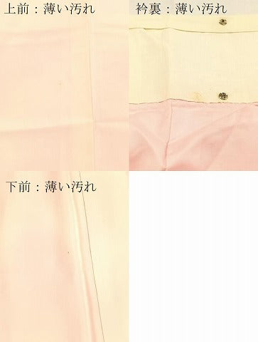 平和屋着物■長襦袢 袷 霞文 暈し染め 正絹 逸品 未使用 BAAX3895yc